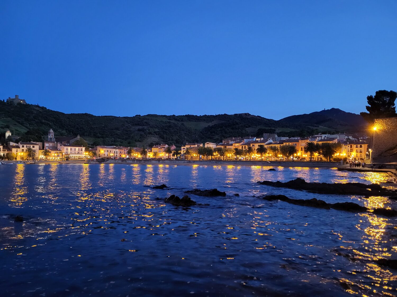 la bahía de Collioure a la hora azul, con el paseo marítimo iluminado, las palmeras y el fuerte Saint-Elme en la cresta