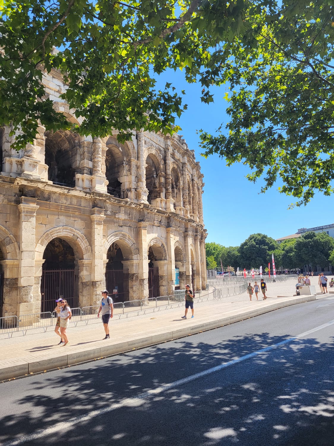 la facciata dell’Arena di Nîmes vista dalla strada sotto i platani, con le due file di arcate