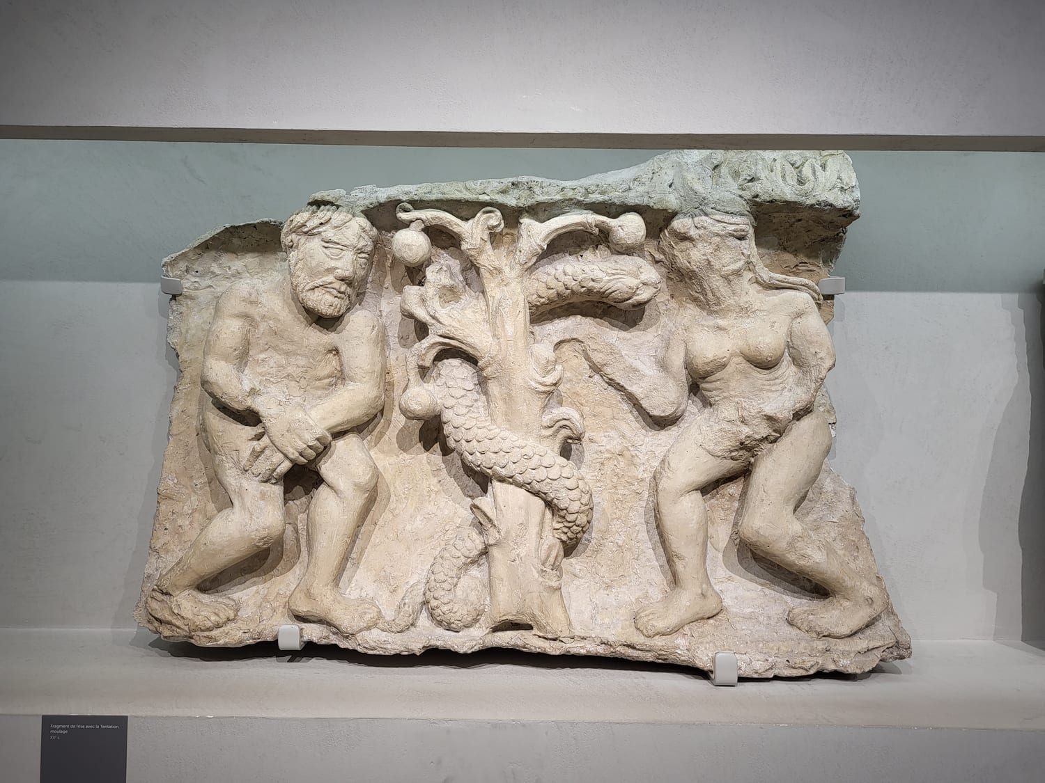 un fregio romanico del XII secolo con Adamo ed Eva ai lati dell’albero e il serpente attorcigliato al tronco, calco esposto al Musée de la Romanité di Nîmes