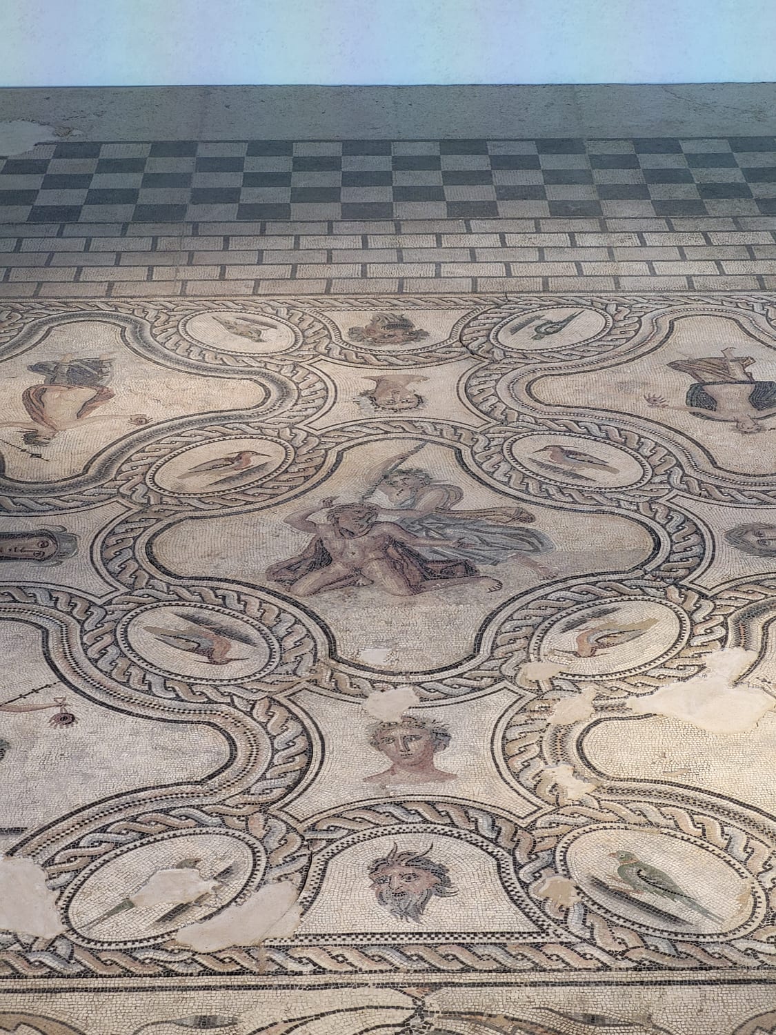 un grande mosaico pavimentale romano con medaglioni di uccelli e una figura centrale, al Musée de la Romanité di Nîmes