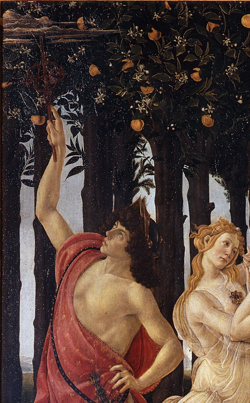 mercurio con il caduceo alzato fra gli aranci, dettaglio della primavera di botticelli