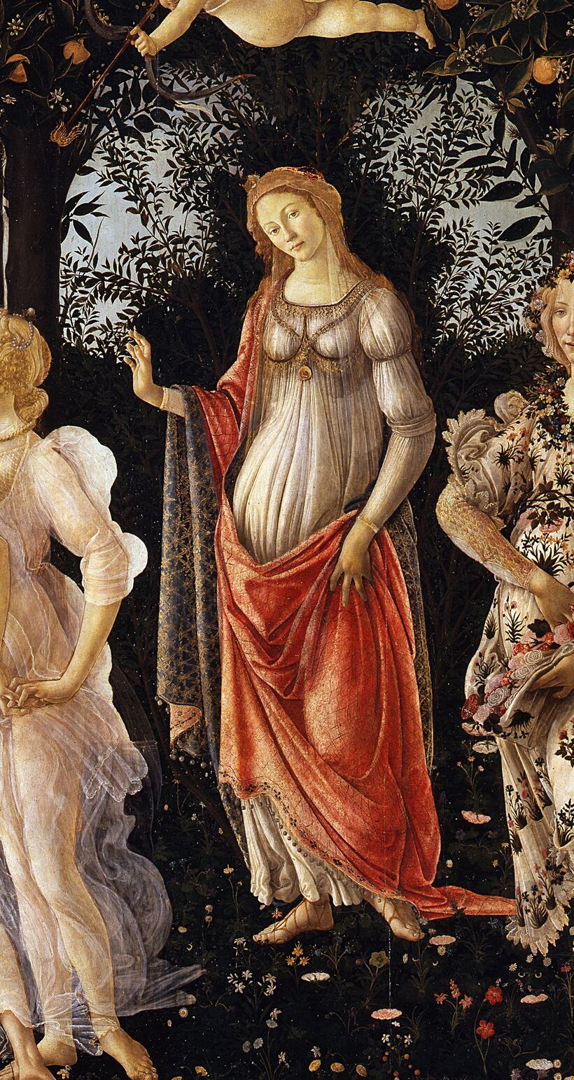 venere al centro della primavera di botticelli, incorniciata dall’arco di arbusti