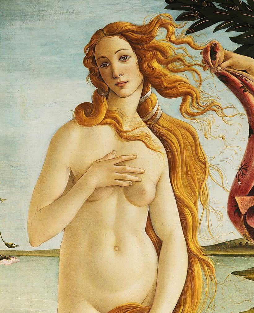 il volto e i capelli di venere nella nascita di venere di botticelli