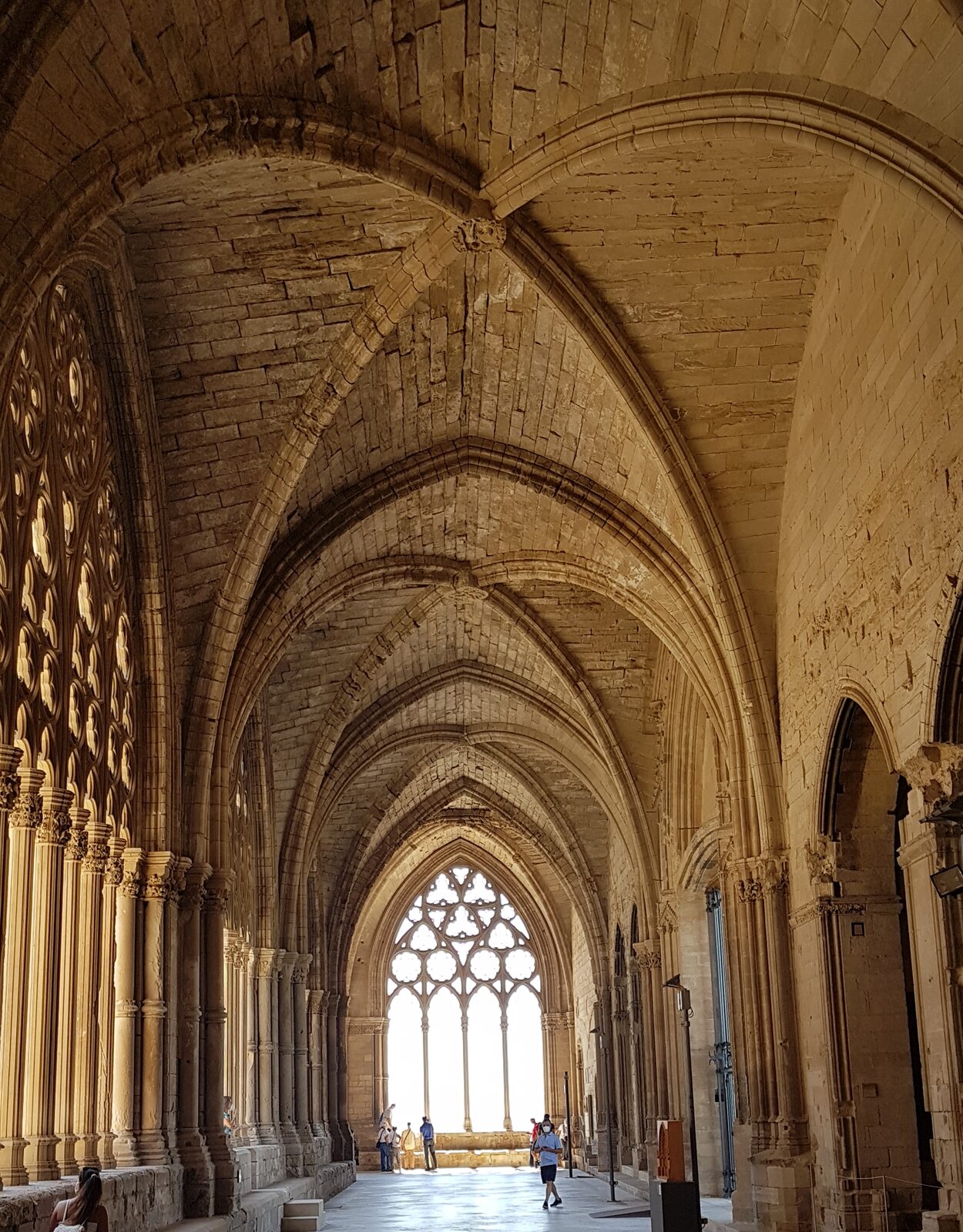 la galleria del chiostro della Seu Vella con i grandi trafori gotici verso il cortile
