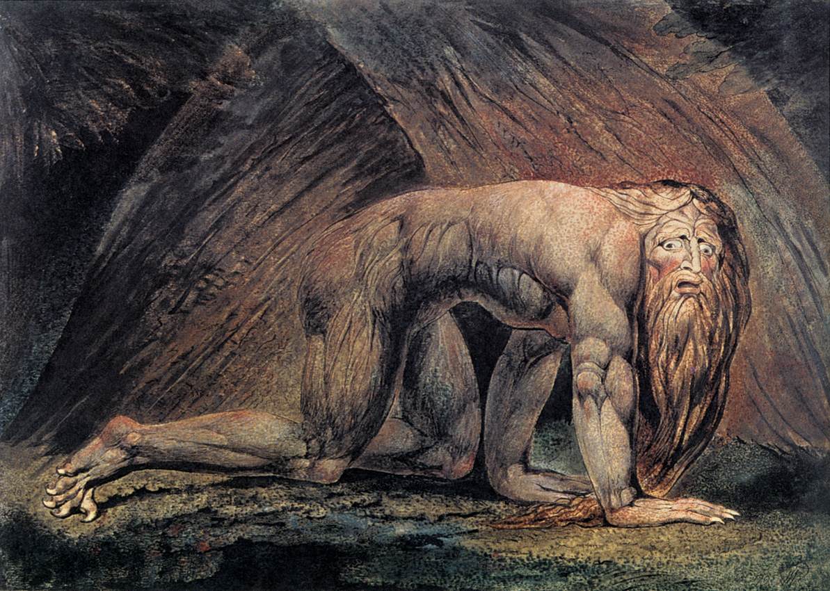 nebuch