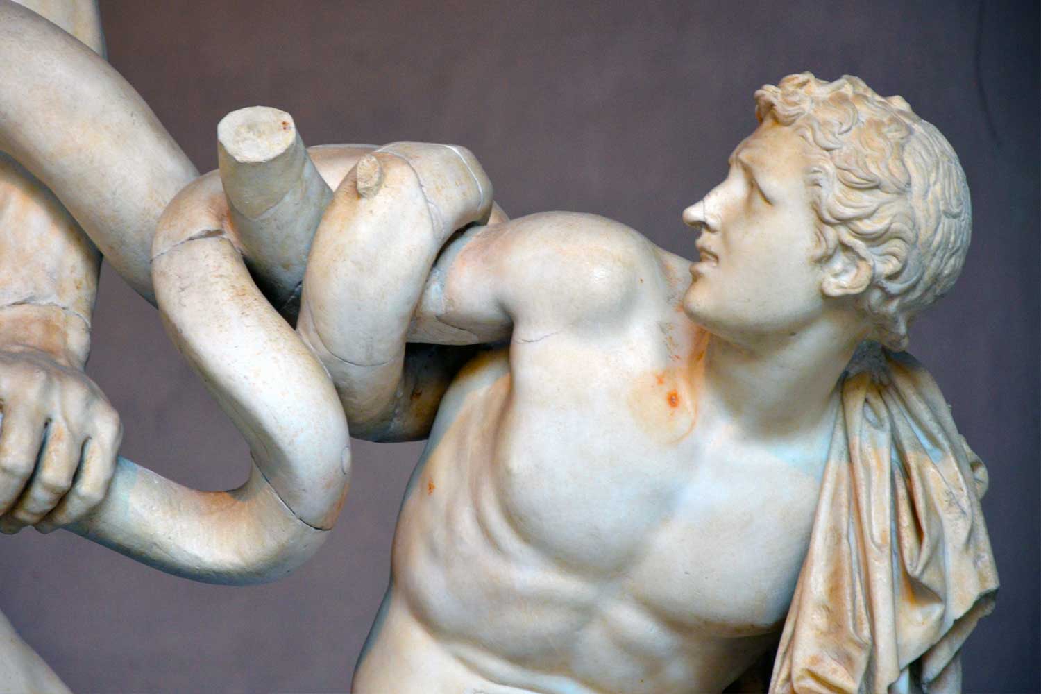 laocoonte particolare