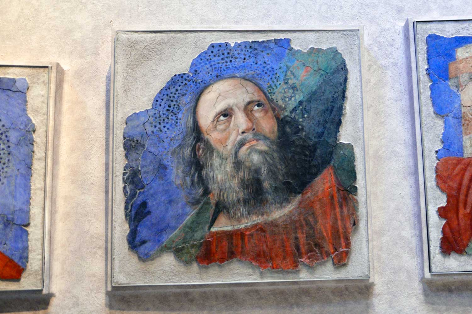 musei vaticani pinacoteca