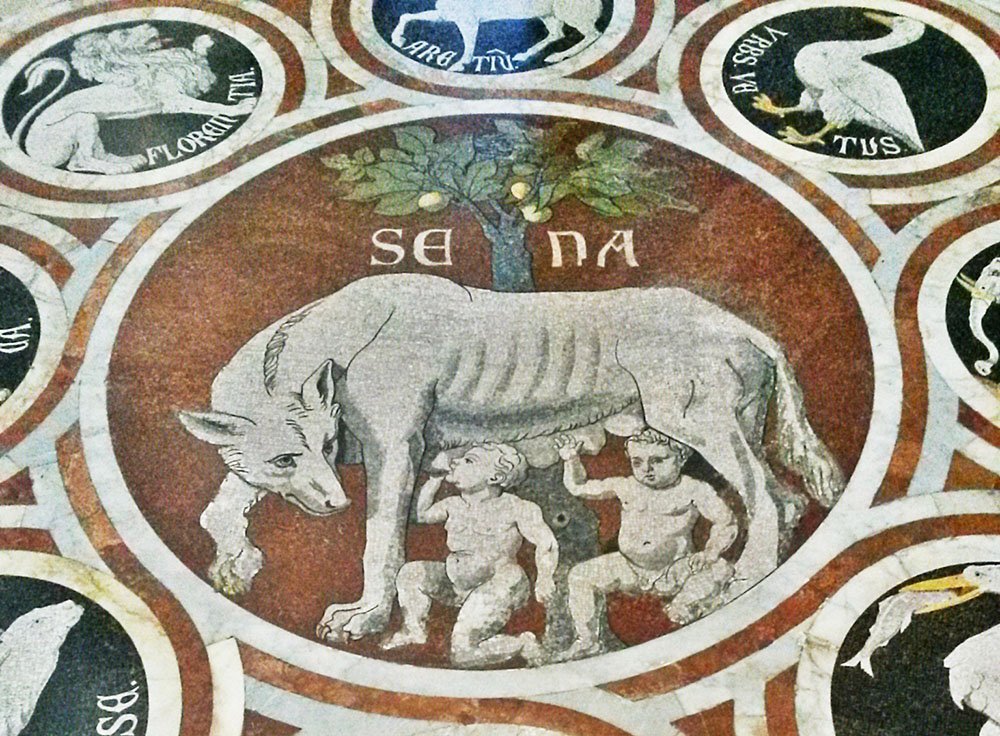 la lupa sul pavimento del duomo di siena