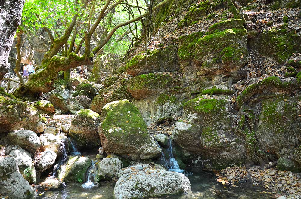 La foresta delle farfalle a Rodi