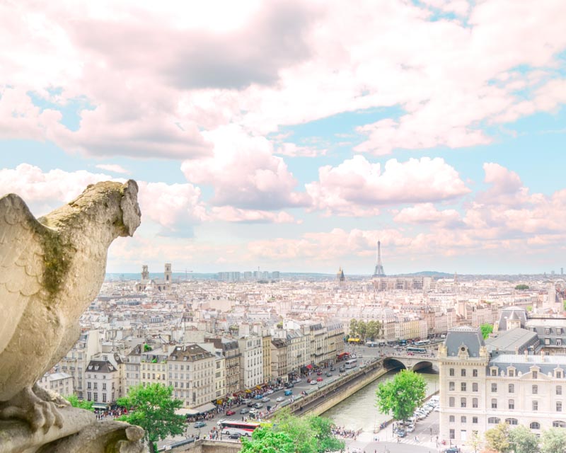 visuale di parigi da notre dame